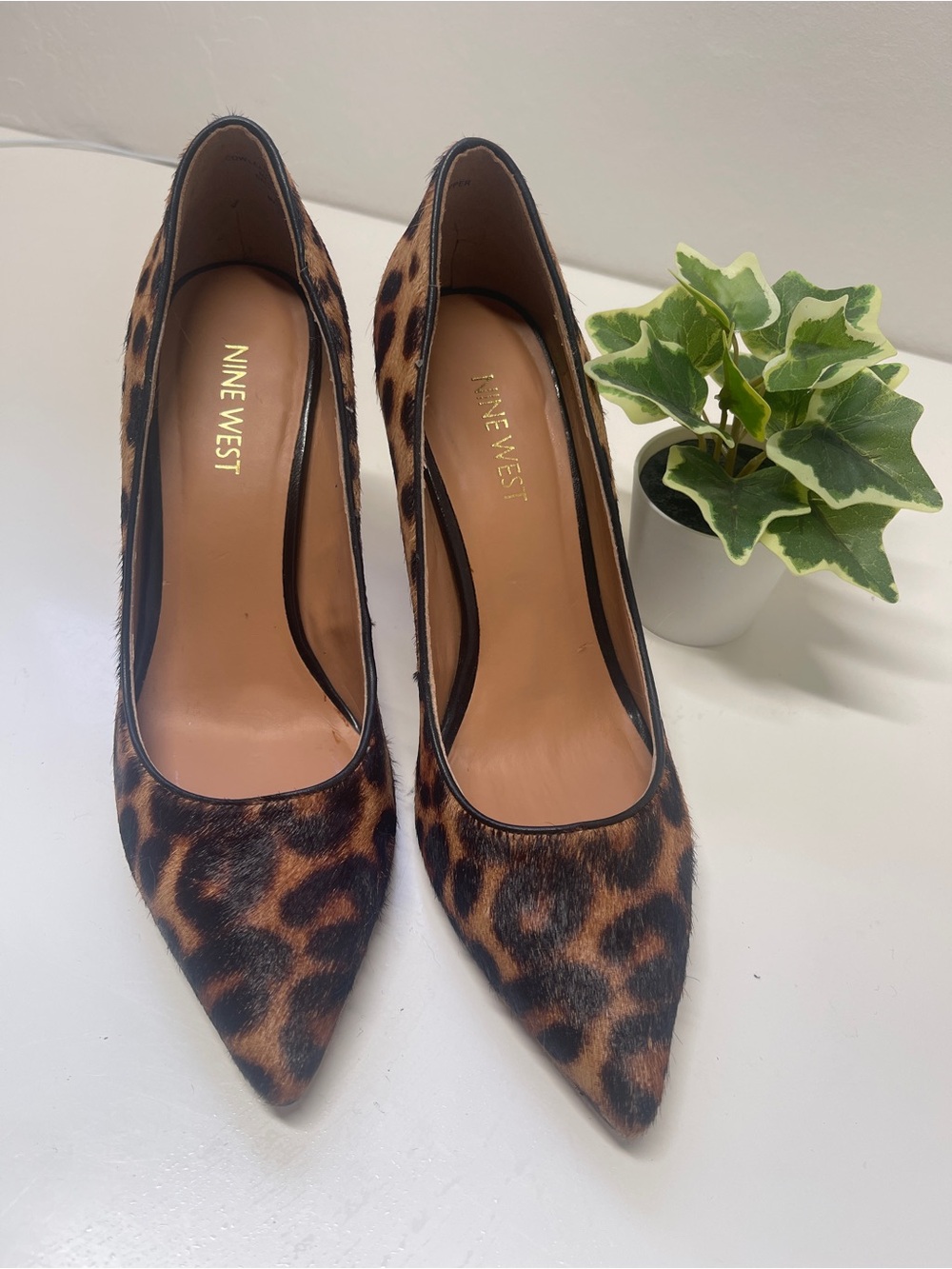 New Nine West Tatiana Leopard Calf Hair Pointed Toe Pump